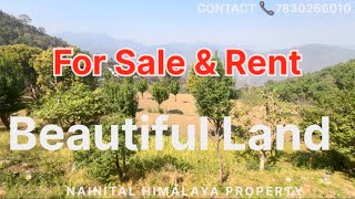 Beautiful Land Plot Available For Sale amp Rent Near By Nainital Almora Ranikhet Jageshwar Mukteshwar [upl. by Payne]