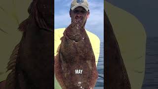 Catching MONSTER Fluke on the Ultimate Party Boat Adventure fluke [upl. by Myke120]