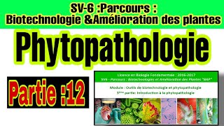 Phytopathologie partie 12  La réponse des plantes aux attaques par les agents pathogènes [upl. by Hanforrd778]