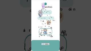 Giardiasis  types parasitology microbiology pathology symptoms neet neetpg biologyscience [upl. by Aham974]