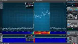 Full Duplex Monitoring on Flex 6000 Series [upl. by Aiveneg]