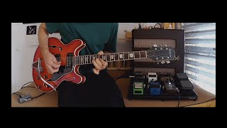 Vintage 1970 Epiphone 5102T [upl. by Aivataj]