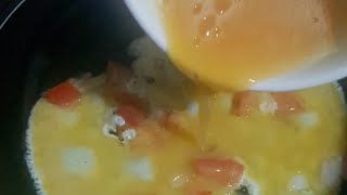 chicken omelette  cooking time  4WH [upl. by Xylon475]