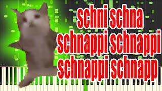 Schni schna schnappi but its MIDI Auditory Illusion  Schnappi schnappi schnapp Piano sound [upl. by Inilam]