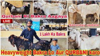 Deonar Bakra Mandi 2024  19 Ramadan Saturday Live Mandi Update  1 Lakh Ka bakra  30 March 2024 [upl. by Assertal]