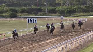 Gladstone 20240525 Race 5 [upl. by Ydennek]