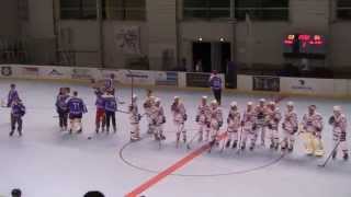 Equipe de France vs All Star Team Roller Hockey [upl. by Lawford]