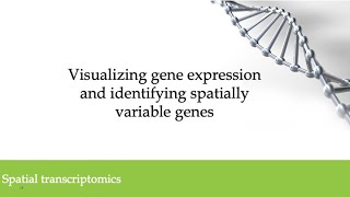 6 Visium data 2024 Visualizing gene expression and identifying spatially variable genes [upl. by Esirehc]