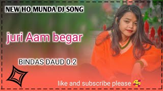 juri Aam begar Ho Munda DJ song [upl. by Strander]