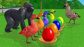 Learn Colors with Farm Animals for Children Ducks and SurpriseEggsBaby Goose Cartoon [upl. by Skinner]