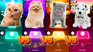 CUTE CAT GUMMY BEAR VS CUTE DOG BARBIE GIRL AQUA VS CUTE CAT VS CUTE DOG SHAKIRA WAKA WAKA [upl. by Yslehc]