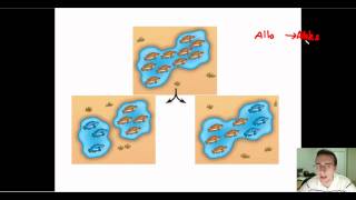 Speciation Part 1 Allopatric vs Sympatric [upl. by Tnecillim]