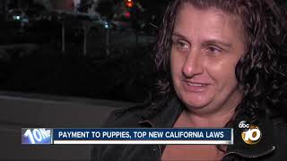 New California Laws 2019 [upl. by Rasaec]