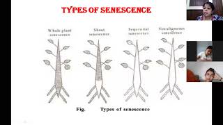 Plant Senescence [upl. by Htomit]