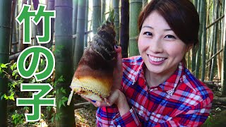 Digging up bamboo shoots 竹の子を掘ってみた！ [upl. by Skvorak]