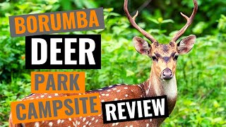 Borumba Deer Park  Imbil  Queensland  Campsite Review  Imbil State Forest 4x4 [upl. by Enitsuj474]