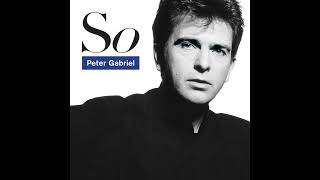 Peter Gabriel Red Rain Instrumental [upl. by Edan]