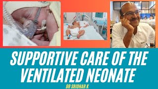 Supportive care in the ventilated neonate neonatology [upl. by Jilly637]