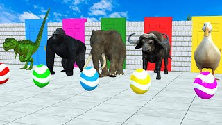 Long Slide Game With Lion Elephant Cow Gorilla Zebra Trax Tiger 3d Animal Game Funny 3d Animals [upl. by Yerrot]