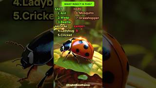 How Many Insects Can You Name Test Yourself englishlearning english [upl. by Aisenat928]