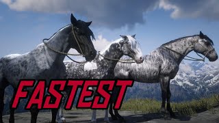 Fastest Horses Group Photo  Red Dead Redemption 2 [upl. by Wrdna]