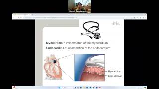 CG  BIO160  Heart Anatomy [upl. by Kitti]