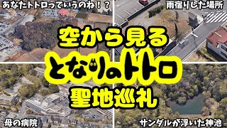 【となりのトトロ】聖地巡礼＆モデル地＆珍スポット紹介【空から見るジブリ】 [upl. by Diamante750]