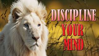 DISCIPLINE YOUR MIND  Become The Most POWERFUL Version of Yourself Td Jakes Motivation 2024 [upl. by Sardse]