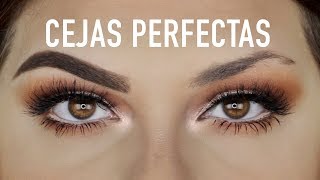 CEJAS PERFECTAS PASO A PASO FACIL [upl. by Llennaj]