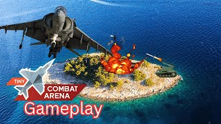 Tiny Combat Arena Gameplay [upl. by Rengia328]