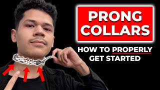 Watch This Video BEFORE Using a Prong Collar [upl. by Reema]