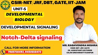 NotchsignalingPathway developmentalbiology csir  L18 Genesisinstituteoflifescience [upl. by Silra948]