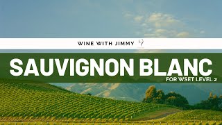 Beginners guide to Sauvignon Blanc for WSET Level 2 [upl. by Aleacim]