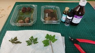 Preserving Plants with Glycerine Frugal Wargames Foliage [upl. by Bunnie467]