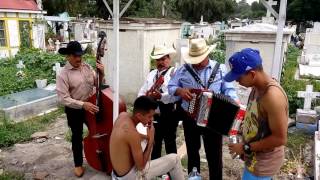 LOS MENSAJEROS DEL NORTE DE SAN NICOLAS TOLENTINO EL MUCHACHO ALEGRE [upl. by Alabaster]