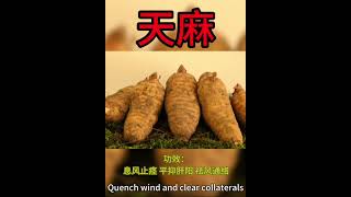 Know a traditional Chinese medicine every dayGastrodia elata [upl. by Yart]