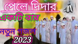 new Notun ghazal ghazal pahle Deedar ghazal Activa [upl. by Erbua]