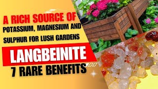 Langbeinite A Rich Source of potassium magnesium and Sulphur for Lush Gardens  7 Rare benefits [upl. by Hako]