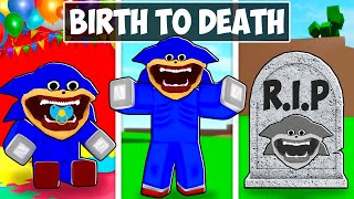 BIRTH to DEATH of SHIN SONIC Roblox Brookhaven RP [upl. by Ardni]