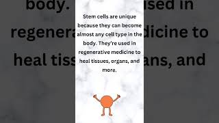 Unlocking Your Body’s Healing Powers with Stem Cells science youtubeshorts education [upl. by Scarlet]