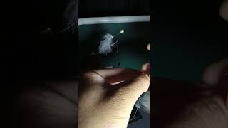 Tying simple bunny hair twitching jig part 1 [upl. by Li]