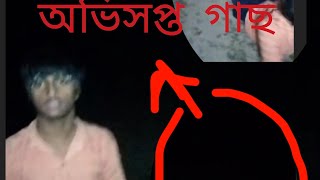 ভুতুড়ে অভিশপ্ত অশরীরী আম গাছ॥ cursed mango tree ॥ ghost hunting [upl. by Sion]