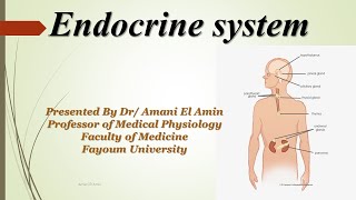 Endocrine control of calcium metabolism part I [upl. by Haral]