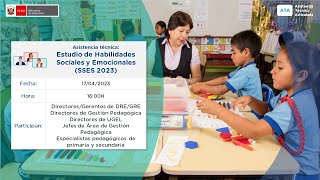 Asistencia técnica Estudio de Habilidades Sociales y Emocionales SSES 2023 [upl. by Tilden]