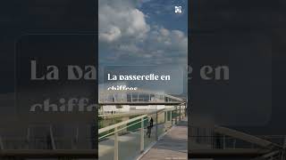 Zoom sur lavancée de la future passerelle Pierre Larousse [upl. by Ledif]