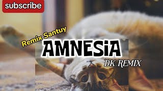 Amnesia  Remix Santuy DK Remix [upl. by Neivad]