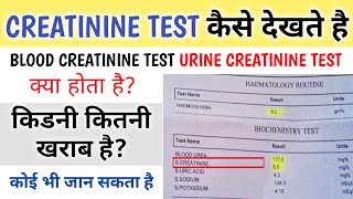 Creatinine Test In Hindi  creatinine normal range [upl. by Nevi103]