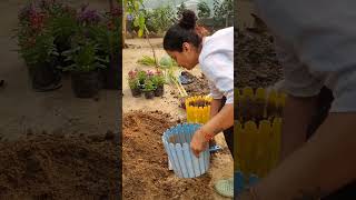 My gardening my passion viralvideo smartitemsforeveryhome youtubevideos gardening ytshorts yt [upl. by Ycniuqal]