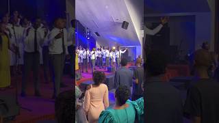 Adonai Vijana Choir Moravian AHSANTE SYMPHONY GRATEFUL HEART LIVE RECORDING highlights [upl. by Fionnula132]