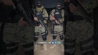 CARTEL DEL NORESTE SUCESORES DE LOS ZETAS🇲🇽☠️ shorts mexico military narcos facts [upl. by Pejsach483]